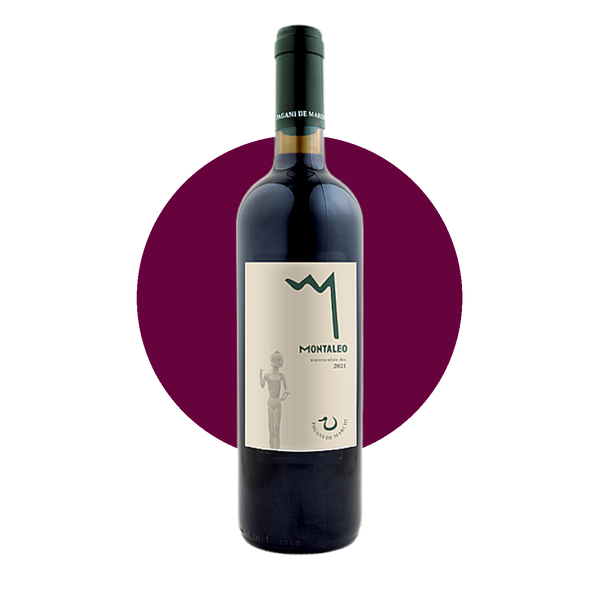 Montaleo Montescudaio DOC - Pagani de Marchi