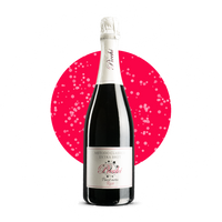 Pinot Nero Rosé Metodo Classico Extra Brut sa - Picchi