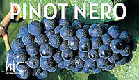Pinot Nero - Martedì 13 Maggio ore 20