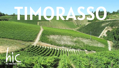 TIMORASSO - Giovedì 22 Maggio ore 20.oo